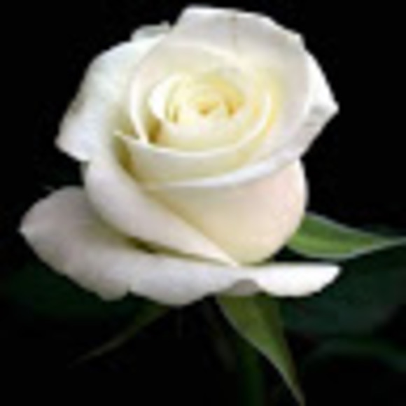 Meet your Posher, Yeika - Picture 1 of 1